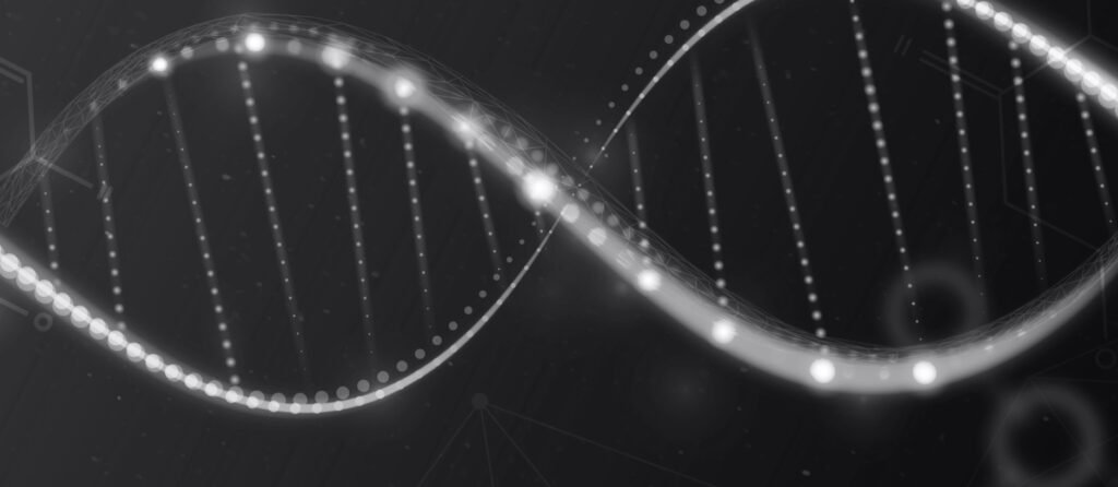 registration header